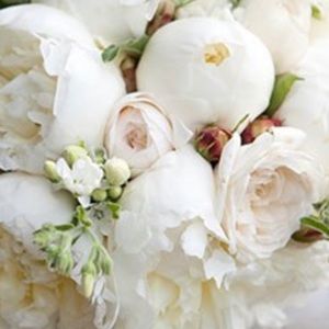 Meet your Posher, Meghan